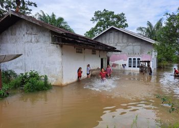 rumah warga di rt 2 desa nyogan, kec. mestong yang terendam banjir