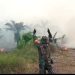 petugas saat melakukan pemadaman lahan perkebunan yang terbakar di desa ramin, kabupaten muaro jambi (dok)